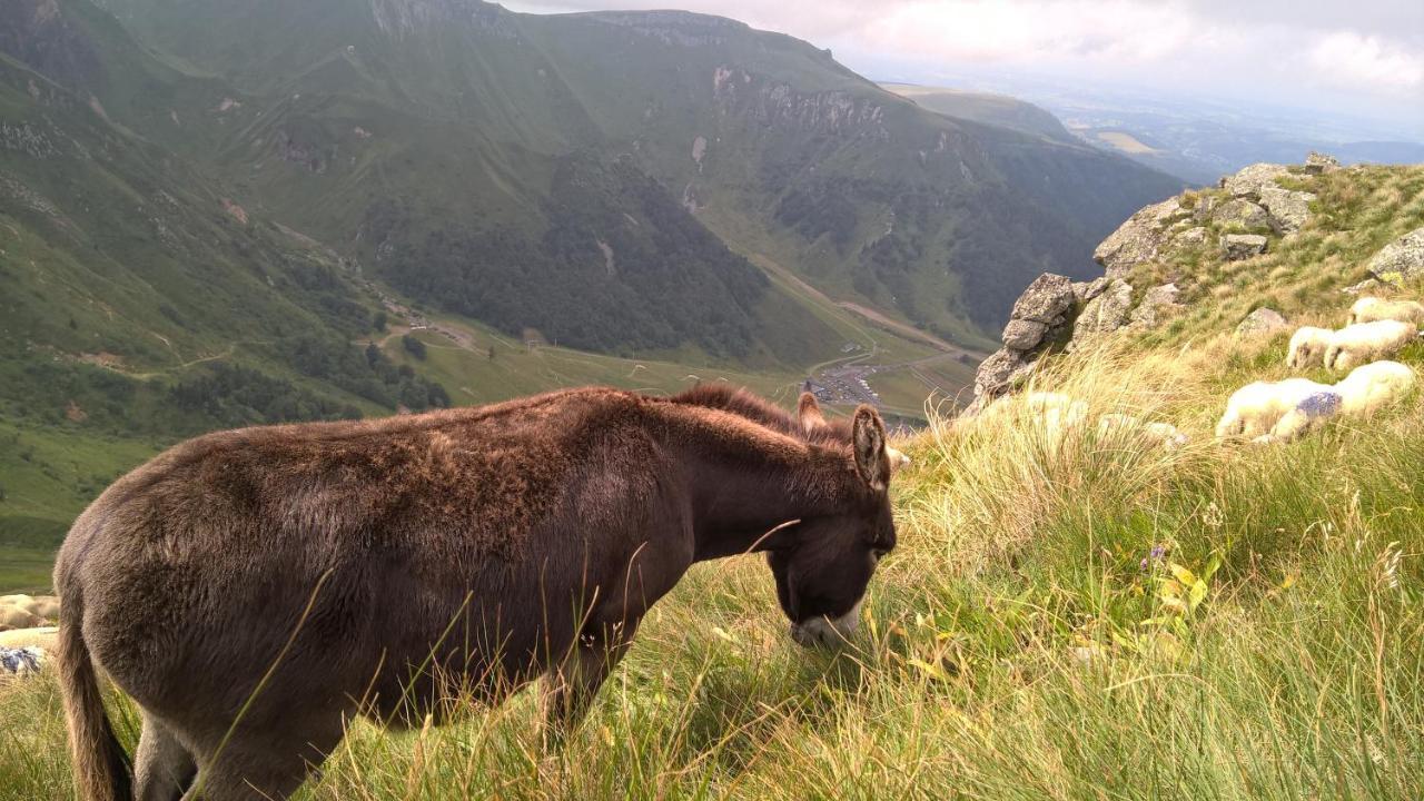 Camping Les Vernieres La Bourboule Sancy Exteriör bild